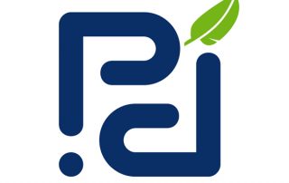 Logo PDI